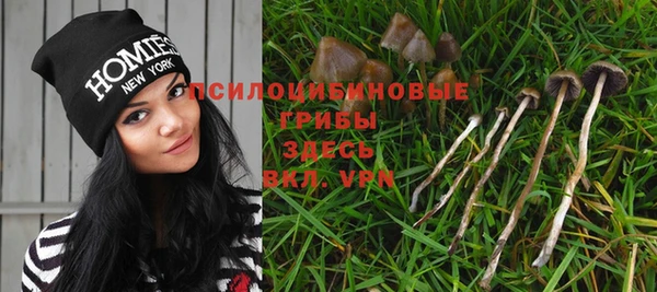 ГАЛЛЮЦИНОГЕННЫЕ ГРИБЫ Володарск