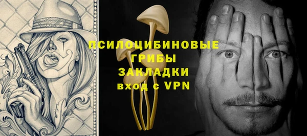 ГАЛЛЮЦИНОГЕННЫЕ ГРИБЫ Володарск