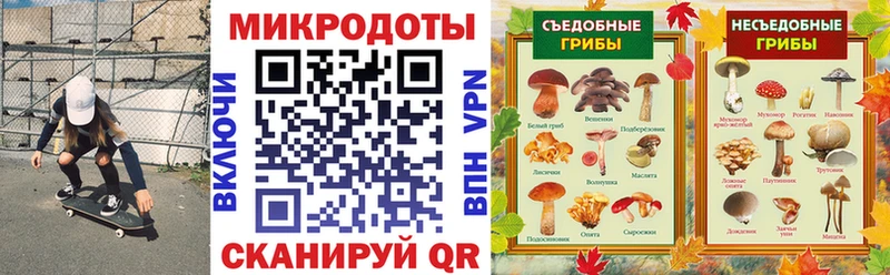 Псилоцибиновые грибы Psilocybe  Гагарин 